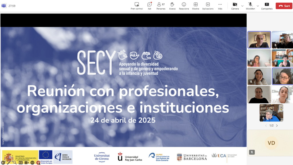 Presentación del proyecto SECY a profesionales y organizaciones (stakeholders)